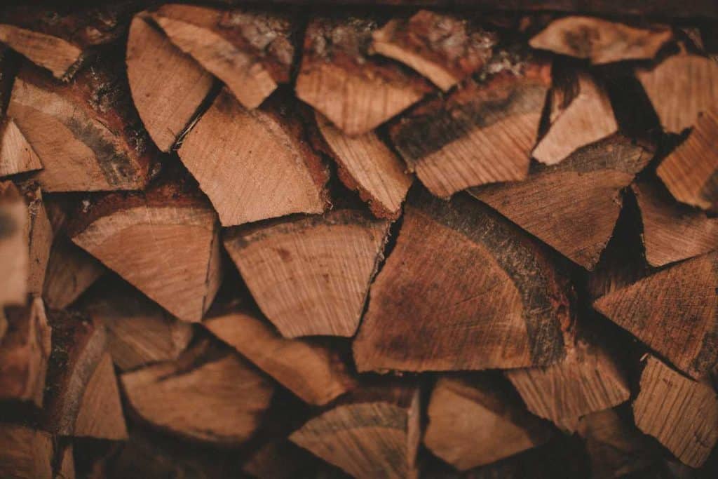 la merule sur bois de chauffage risques identification et solutions efficaces 1
